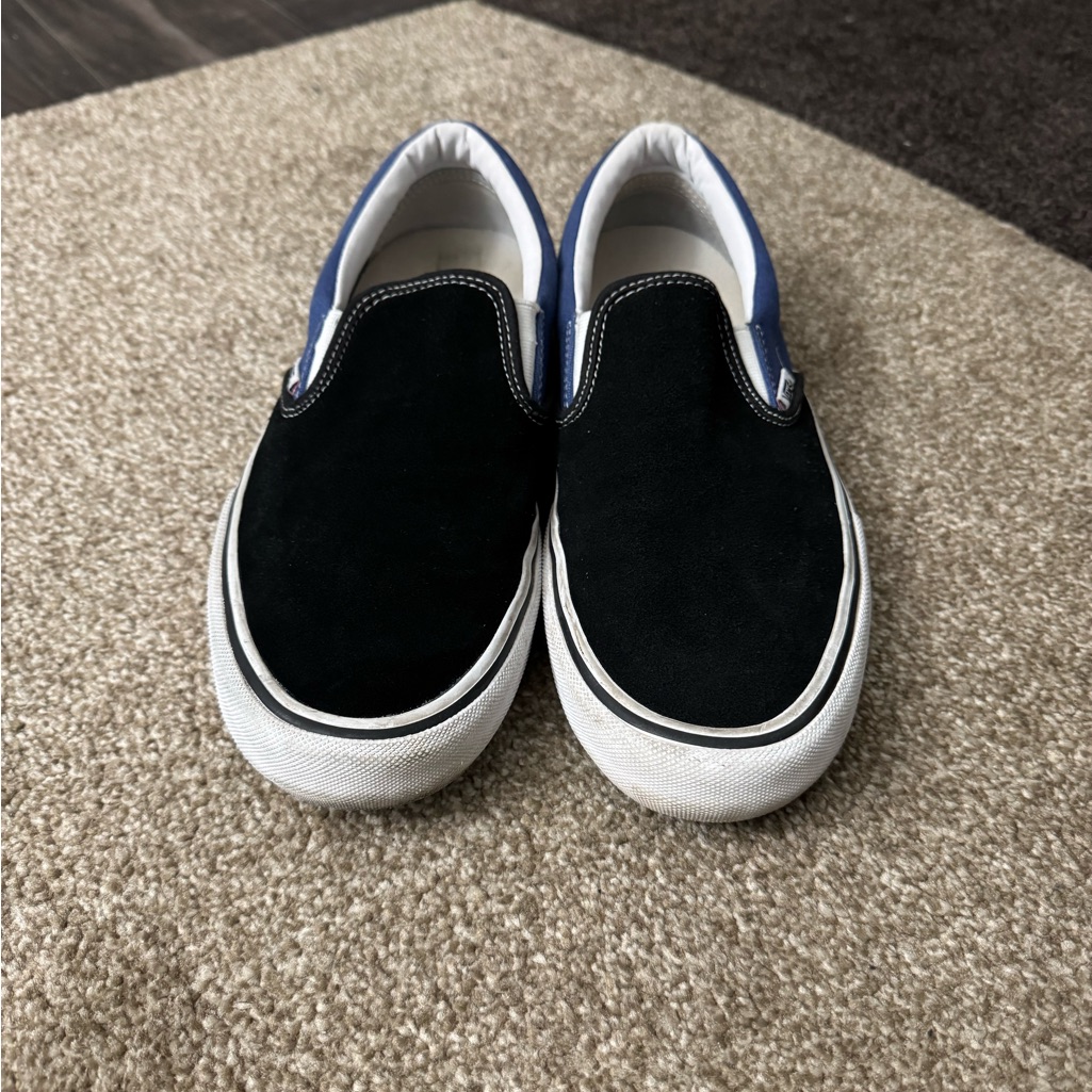 Antihero Vans Chris Pfanner Collab Rare